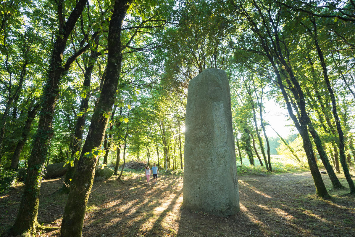 La Forêt de Brocéliande le pays des légendes Forêt de Brocéliande